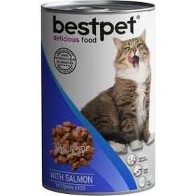 Bestpet Somonlu Yetişkin 40x415 g Kedi Konservesi