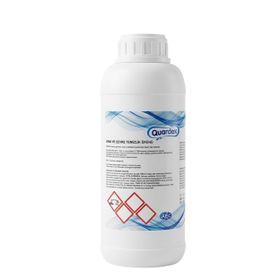 Bestway İntex Havuzlarla Uyumlu Quardex 1 kg Ayak Dezenfektanı