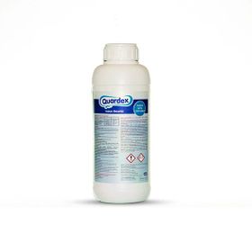 Bestway İntex Havuzlarla Uyumlu Quardex 1 lt Yosun Önleyici