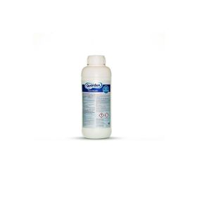 Bestway İntex Havuzlarla Uyumlu Quardex 1 lt Yosun Önleyici