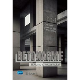 Betorname Davranış ve Hesap İlkeleri Cilt 1 Nobel Akademik Yayıncılık