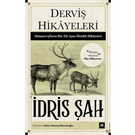 Beyaz Baykuş Yayınları Derviş Hikayeleri