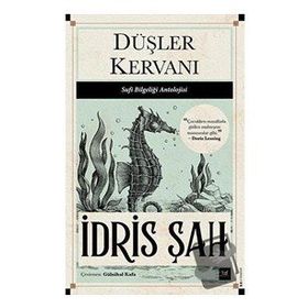 Beyaz Baykuş Yayınları Düşler Kervanı