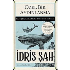 Beyaz Baykuş Yayınları Özel Bir Aydınlanma