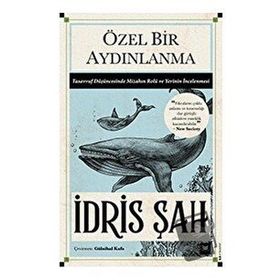 Beyaz Baykuş Yayınları Özel Bir Aydınlanma