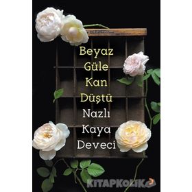 BEYAZ DIPLOMASI ARŞİV BELGELERI IŞIĞINDA OSMANLI VATIKAN İLİŞKİLERİ - TACEDDIN KAYAOĞLU