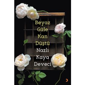 BEYAZ DIPLOMASI ARŞİV BELGELERI IŞIĞINDA OSMANLI VATIKAN İLİŞKİLERİ - TACEDDIN KAYAOĞLU