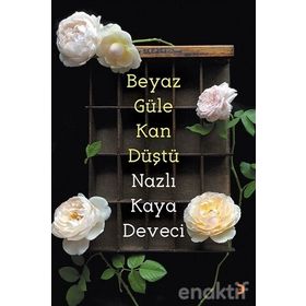 BEYAZ DIPLOMASI ARŞİV BELGELERI IŞIĞINDA OSMANLI VATIKAN İLİŞKİLERİ - TACEDDIN KAYAOĞLU