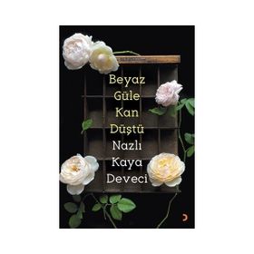 BEYAZ DIPLOMASI ARŞİV BELGELERI IŞIĞINDA OSMANLI VATIKAN İLİŞKİLERİ - TACEDDIN KAYAOĞLU