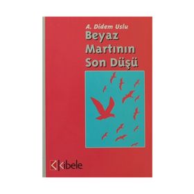 Beyaz Martının Son Düşü - Ayşe Didem Uslu