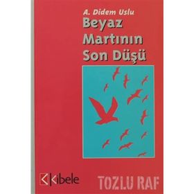 Beyaz Martının Son Düşü - Ayşe Didem Uslu