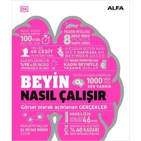 Beyin Nasıl Çalışır Ciltli - Kolektif