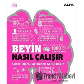 Beyin Nasıl Çalışır Ciltli - Kolektif