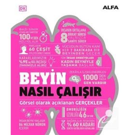 Beyin Nasıl Çalışır Ciltli - Kolektif