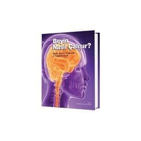 Beyin Nasıl Çalışır? - Peter Abrahams