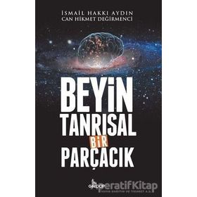 Beyin Tanrısal Bir Parçacık - Can Hikmet