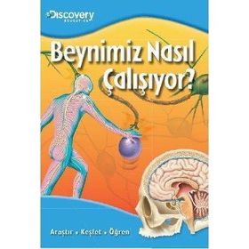 BEYNIMIZ NASIL ÇALIŞIYOR? - KOLEKTIF