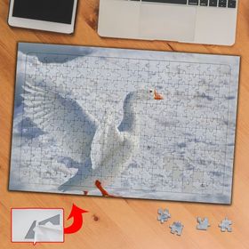 BF953 Buzuldaki Beyaz Ördek 240 Parça Puzzle Yapboz Tablo