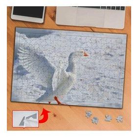 BF953 Buzuldaki Beyaz Ördek 240 Parça Puzzle Yapboz Tablo