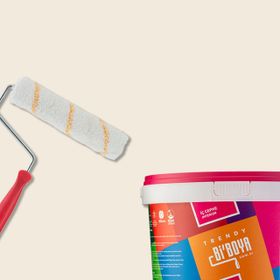 Bi Boya 2.5 lt Ayışığı Tek Oda Boyama Seti
