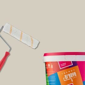 Bi Boya 2.5 lt Vizon Tek Oda Boyama Seti