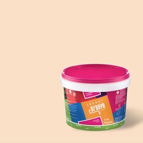 Bi Boya Ekonomik Mat Şampanya 3.5 kg İç Cephe Boyası