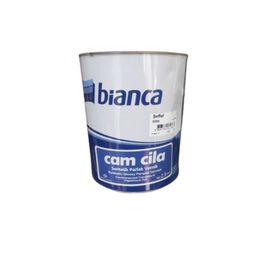 Bianca Cam Cila Sentetik Parlak Şeffaf 2.5 lt Parke Verniği