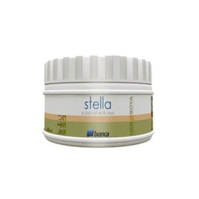 Bianca Ceviz 250 ml Stella Su Bazlı Saf Akrilik Boya