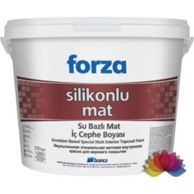 Bianca Forza 0752 Paris Grisi 20 kg Silikonlu Mat İç Cephe Boyası