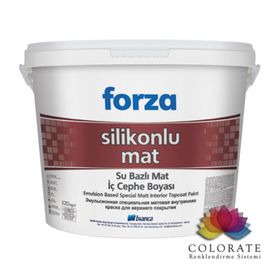 Bianca Forza 1070 Başak 3.5 kg Plastik İç Cephe Boyası