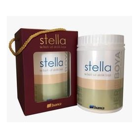 Bianca G103 1 Lt 2024 Colorate Stella Su Bazlı Saf Akrilik Boya