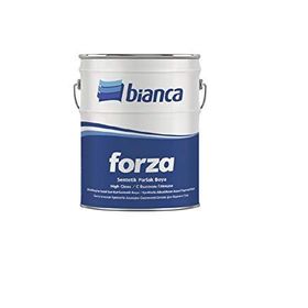 Bianca Import 1022 Krem 2,5 lt Sentetik Yağlı Boya Seti