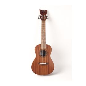 Bianca Simba 24 Soft Case Concert Ukulele