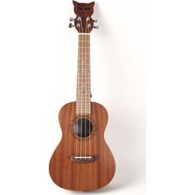 Bianca Simba 24 Soft Case Concert Ukulele