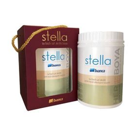 Bianca Stella 500 ml Paris Gri Su Bazlı Saf Akrilik Boya