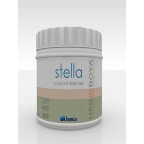 Bianca Stella Antrasit Gri 0.5 L Dönüşüm Boyası