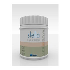 Bianca Stella Antrasit Gri 0.5 L Dönüşüm Boyası