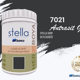 Bianca Stella Antrasit Gri 0.5 L Dönüşüm Boyası