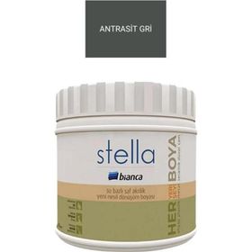 Bianca Stella Antrasit Gri 0.5 L Saf Akrilik Boya