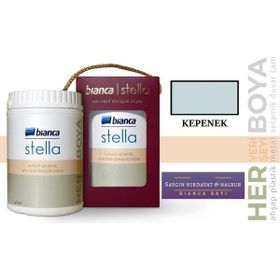 Bianca Stella Kepenek 0.5 L Su Bazlı Saf Yeni Nesil Akrilik Dönüşüm Boyası