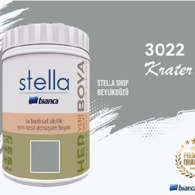 Bianca Stella Krater 0.5 L Su Bazlı Saf Yeni Nesil Akrilik Dönüşüm Boyası