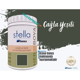 Bianca Stella Su Bazlı Saf 1 lt Çağla Yeşili Akrilik Boya