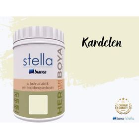 Bianca Stella Su Bazlı Saf 1 lt Kardelen Akrilik Boya