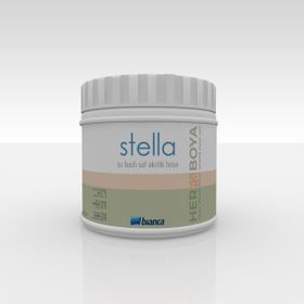 Bianca Stella Tortum 0.5 L Su Bazlı Saf Yeni Nesil Akrilik Dönüşüm Boyası