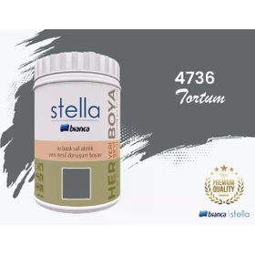 Bianca Stella Tortum 1 L Su Bazlı Saf Akrilik Boya
