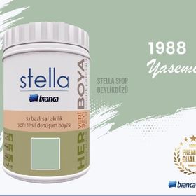 Bianca Stella Yasemin 1 L Su Bazlı Yeni Nesil Akrilik Dönüşüm Boyası