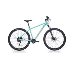 Bianchi Magma 29.1 430H HD 29 Jant 24 Vites Altus CK16 Celeste Silver Gloss Erkek Dağ Bisikleti