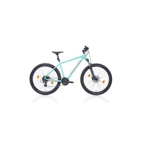 Bianchi Magma 29.1 480H HD 29 Jant 24 Vites Altus CK16 Celeste Silver Gloss Erkek Dağ Bisikleti