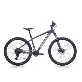 Bianchi Magma 29.1 480H HD 29 Jant 24 Vites Altus Dark Grey Silver Gloss Erkek Dağ Bisikleti