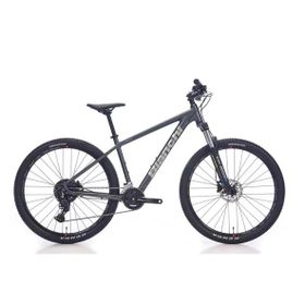 Bianchi Magma 29.1 480H HD 29 Jant 24 Vites Altus Dark Grey Silver Gloss Erkek Dağ Bisikleti